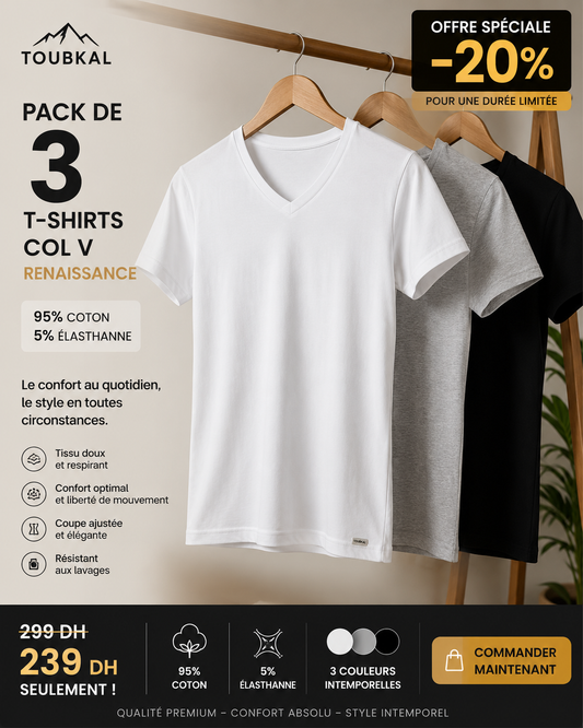 Pack 3 T-shirts Col V Homme – Renaissance 95% Coton | Tobkal